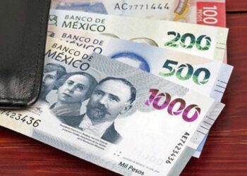Experto pide a la federación apostarle no al aumento del salario mínimo, sino a la preservación del poder adquisitivo de los salarios.