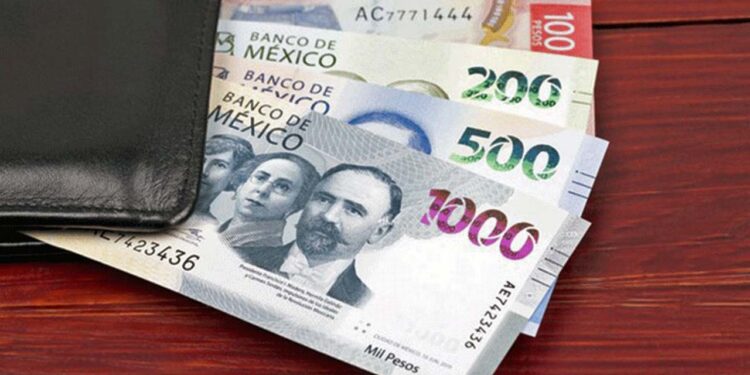 Experto pide a la federación apostarle no al aumento del salario mínimo, sino a la preservación del poder adquisitivo de los salarios.