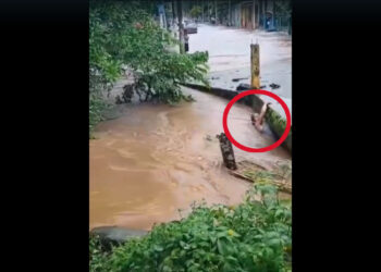 VIDEO | ¡Indignación en Catemaco! Lo arrastra la corriente de un arroyo y no lo auxilian