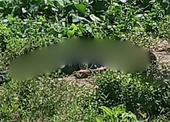 Investigan artero asesinato de hombre a balazos en Pinotepa Nacional  