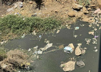 Obligarán a la Conagua a supervisar el saneamiento de ríos de Oaxaca