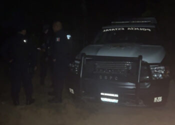 Tras aterrador hallazgo, autoridades investigan los restos humanos