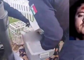 Inquietante caso del hallazgo de restos humanos en Sinaloa