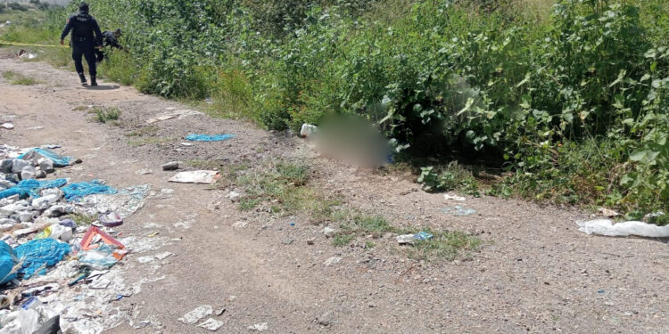 ¡Siguen los hallazgos macabros! Localizan torso humano