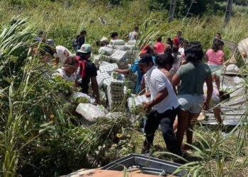 Vuelca tráiler cargado con bebidas alcohólicas y desata rapiña en Oaxaca