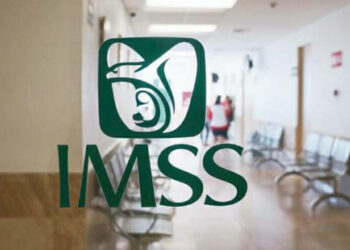 ¿Qué ocurre con tu seguro médico del IMSS tras un despido?
