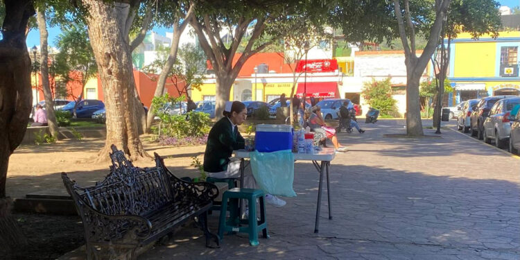 Reporta Oaxaca primer caso de influenza y deceso por Covid-19