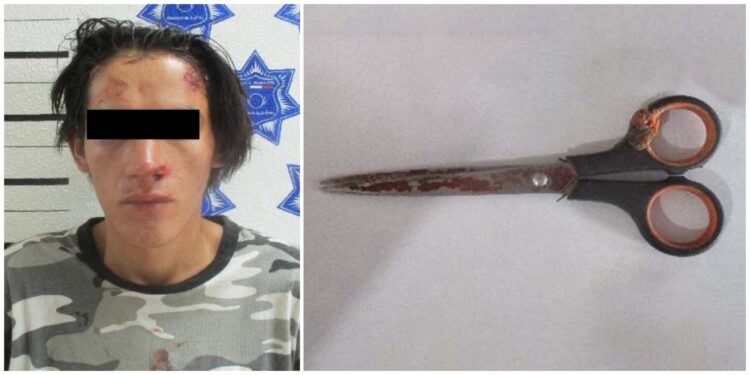 Fue detenido tras lesionar a un hombre mayor en el Mercado de Abasto.