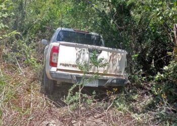 La camioneta quedó entre arbustos de la zona.