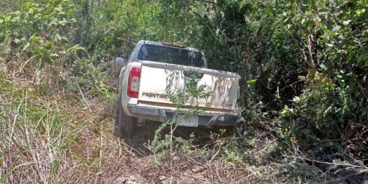 La camioneta quedó entre arbustos de la zona.