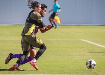 Alebrijes sirve como “sparring” de Tigres