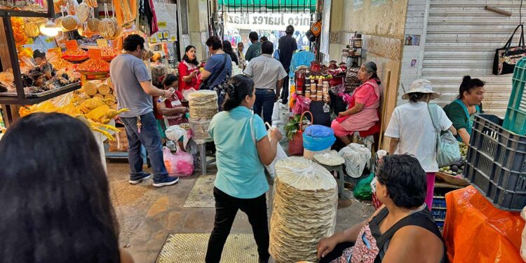 Foto: Álvaro Cuitláhuac López // Armadas de un “cerro” de blandas y tlayudas, la exquisitez de la gastronomía oaxaqueña.