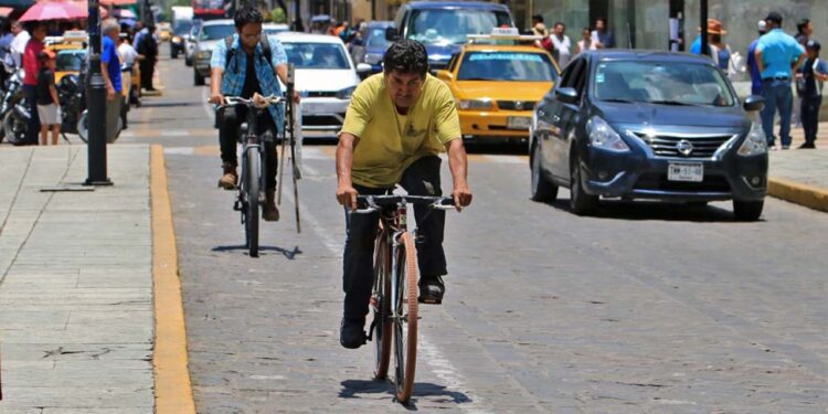 Foto: Adrián Gaytán // Bicirutas, la mejor opción para la movilidad de esta ciudad.
