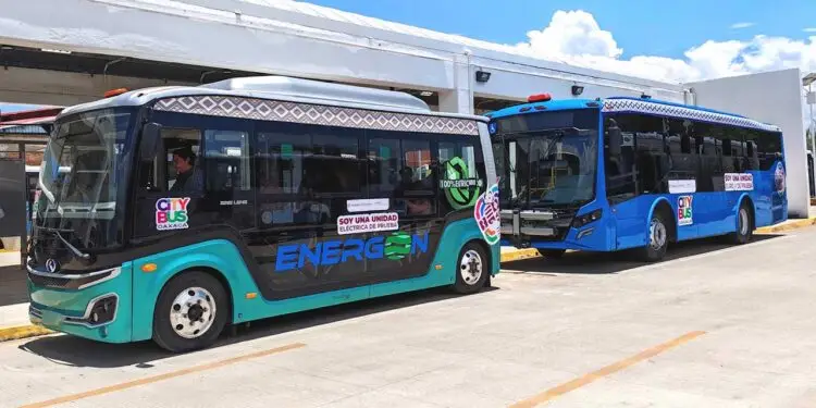 Foto: archivo // Dos modelos de autobuses eléctricos del CityBus para prestar servicio público en la capital.