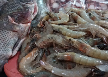 Foto: Archivo El Imparcial // Destaca que en Oaxaca se cultivan tres especies consolidadas: trucha, mojarra y camarón.