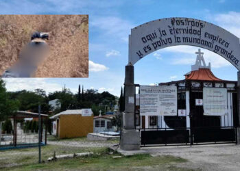 Indagan sobre horrendo crimen de director de Hospital de Tamazola