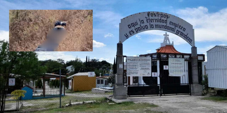 Indagan sobre horrendo crimen de director de Hospital de Tamazola