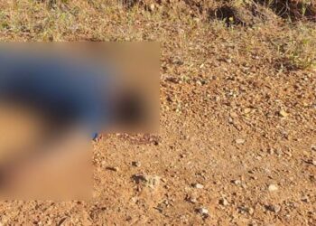 El cuerpo presentaba dos impactos de arma de fuego.