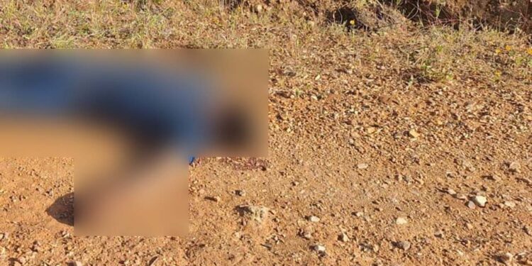 El cuerpo presentaba dos impactos de arma de fuego.