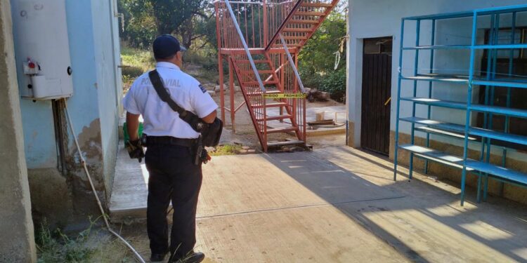 Elementos de la Policía Municipal de Teotitlán se encargaron de acordonar el área.