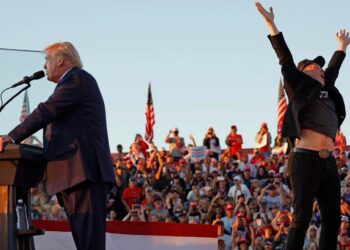 ¿Qué puesto ocupará Elon Musk, en el gabinete de Donald Trump?