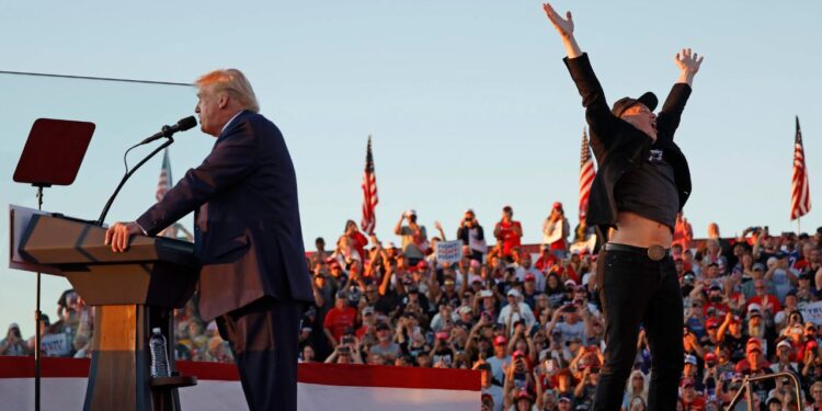 ¿Qué puesto ocupará Elon Musk, en el gabinete de Donald Trump?
