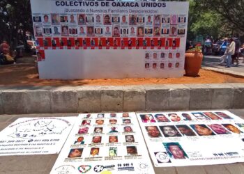 En al menos 42 casos el estado mexicano es responsable de ejecuciones extrajudiciales, acusaron organizaciones sociales.