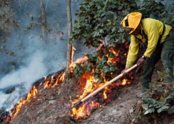 Foto: Archivo El Imparcial // En la temporada de incendios forestales en Oaxaca, al menos seis personas perdieron la vida y otras tres sufrieron lesiones.