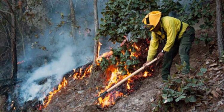 Foto: Archivo El Imparcial // En la temporada de incendios forestales en Oaxaca, al menos seis personas perdieron la vida y otras tres sufrieron lesiones.
