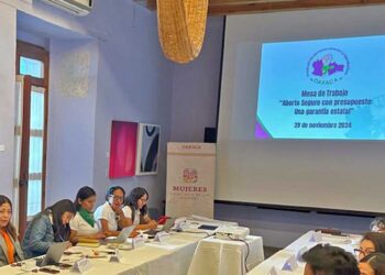 Foto: Facebook Siempreviva Oaxaca // Mesa de trabajo “Aborto Seguro con presupuesto: una garantía estatal”.