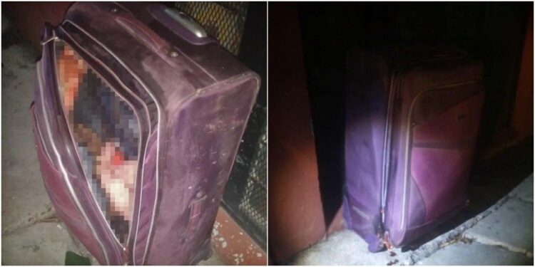 Fotos en redes sociales muestran el contenido de la maleta localizada en Juchitán que parecen incluir pies y cabello humanos.