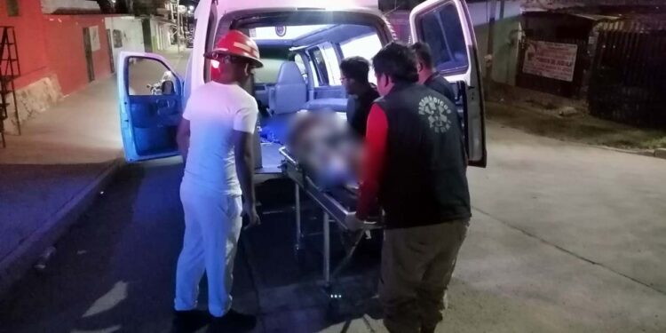 Fueron auxiliados por SUAP Oaxaca y trasladados por el grupo de rescate Terrys.