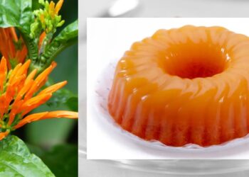 Gelatina de té de muicle: Un postre saludable con propiedades curativas
