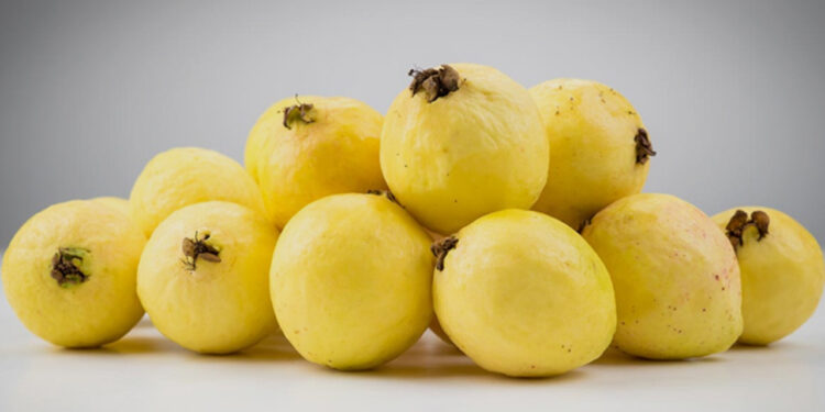 Descubre los múltiples beneficios para la salud que tiene la guayaba