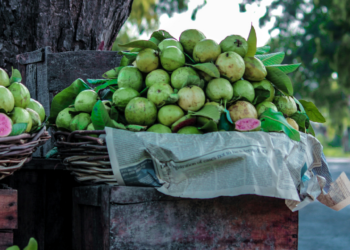 La Guayaba: una deliciosa fruta de temporada