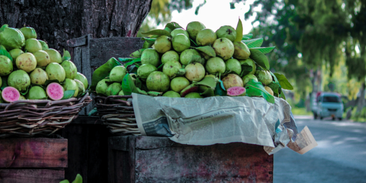 La Guayaba: una deliciosa fruta de temporada