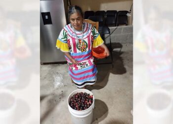 Hicieron una demostración de cómo se prepara el guaxmole.