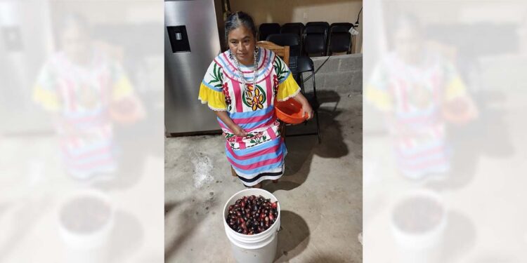 Hicieron una demostración de cómo se prepara el guaxmole.