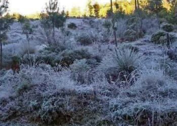 Foto: internet // La zona alta de la región Mixteca ha registrado temperaturas de hasta -5 grados.