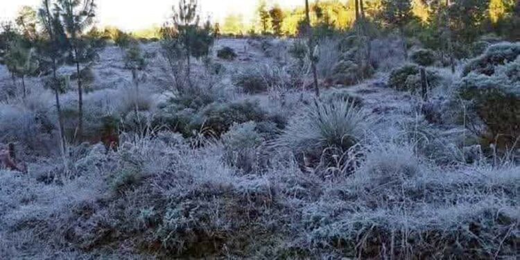 Foto: internet // La zona alta de la región Mixteca ha registrado temperaturas de hasta -5 grados.