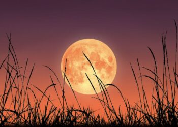 ¿Cuándo es la última luna llena del año?