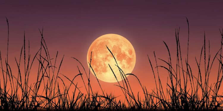 ¿Cuándo es la última luna llena del año?