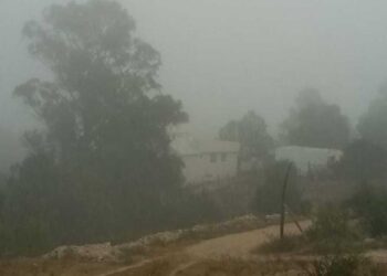 ¡Precaución en el Istmo! Fuertes vientos y oleaje elevado ponen en alerta a Oaxaca