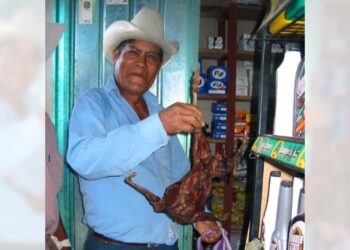 Mazatecos venden carne de conejo asado en comunidades mazatecas.
