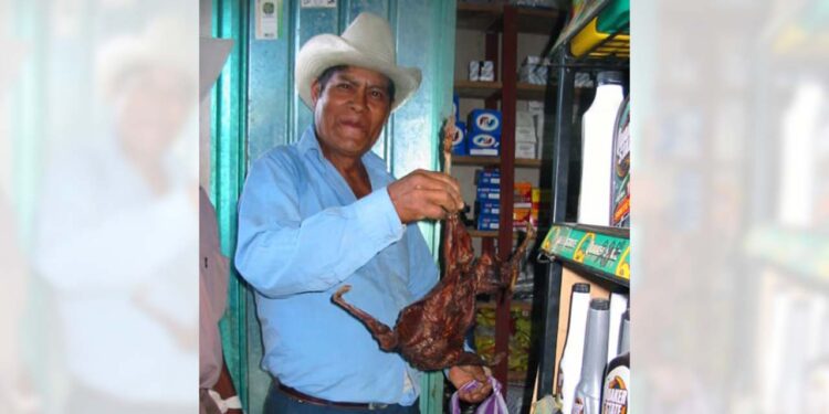 Mazatecos venden carne de conejo asado en comunidades mazatecas.