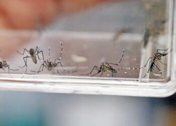 Ocupa Oaxaca el quinto lugar en mortalidad por decesos confirmados por laboratorio.