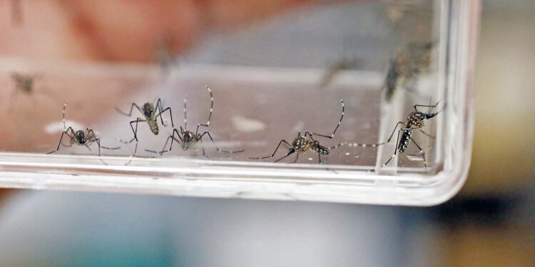 Ocupa Oaxaca el quinto lugar en mortalidad por decesos confirmados por laboratorio.
