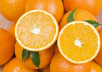 ¿Qué tan recomendable es consumir naranjas diariamente?