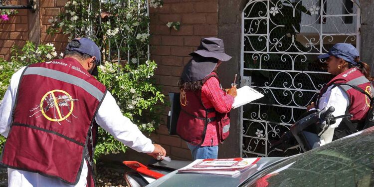 Foto: Luis Alberto Cruz // Pese a las jornadas de prevención, los casos de dengue siguen en aumento.