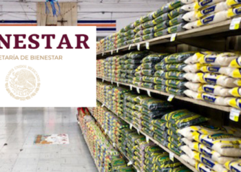 ¿Cómo funcionarán y dónde estarán ubicadas las “Tiendas del Bienestar”?